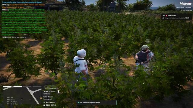 мой 195790 нарушитель 195624 02.11.24 16;53