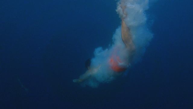 Rutube_account_8904876