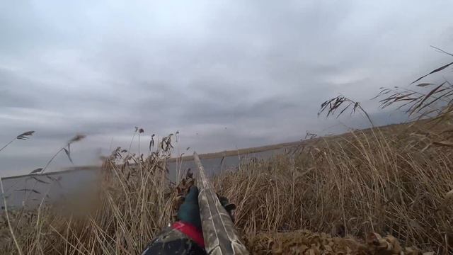 9363c268302fb319f389c850838b826d