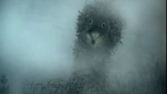 3e8398c7c72f7a4705073d161bc865de