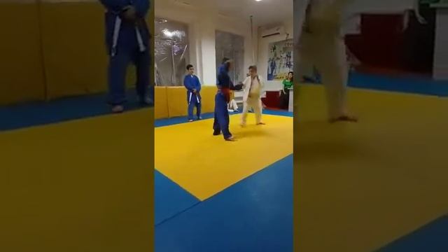 тренировки