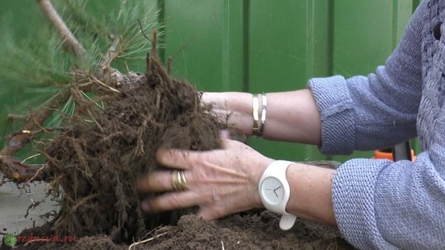 3bc2c50610220de5e12de1b04b791c5b