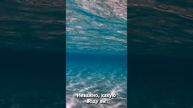 Как ваша Жизнь влияет на качество ВОДЫ которую вы пьёте. Отрывок из книги Владимира Бертолетова