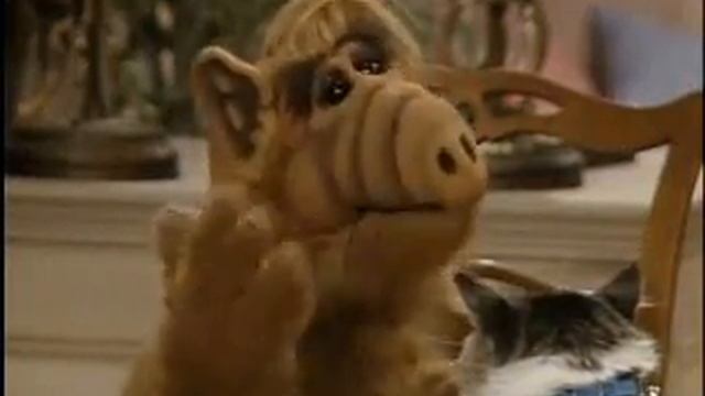 Alf - You Are No Longer A Cat