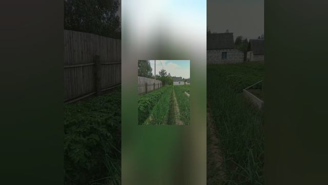 4089f3a4750e20f0b2848621fb8b8c63