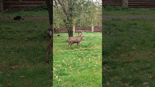 Природа - мать наша!