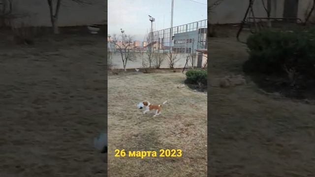 26 марта 2023 г.