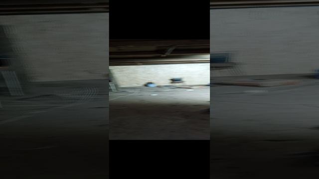 милосердия ❤