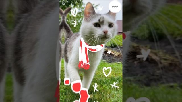 C2a32ac565b4c38c724f94cf7e5188b4