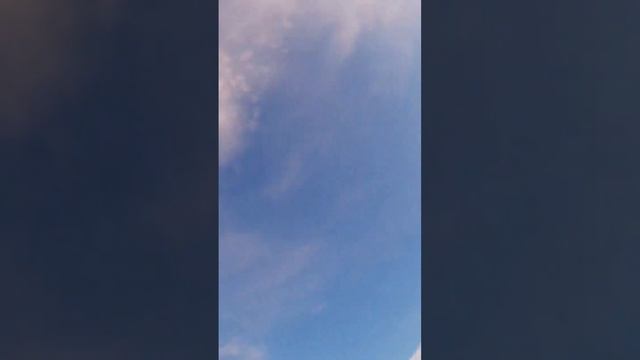 Охота на утку