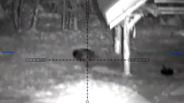 Охота на кабана ТК-598 Lancaster 9.6х53 And Pulsar Digex N455