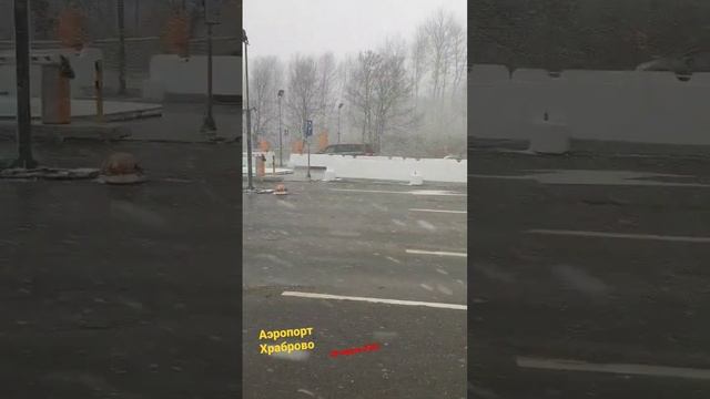 #калининград #опятьметель #бульдогхарламов