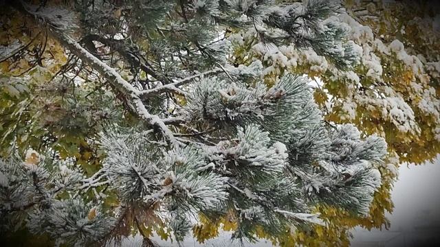 A80bcef33872004453542c075dbaa633