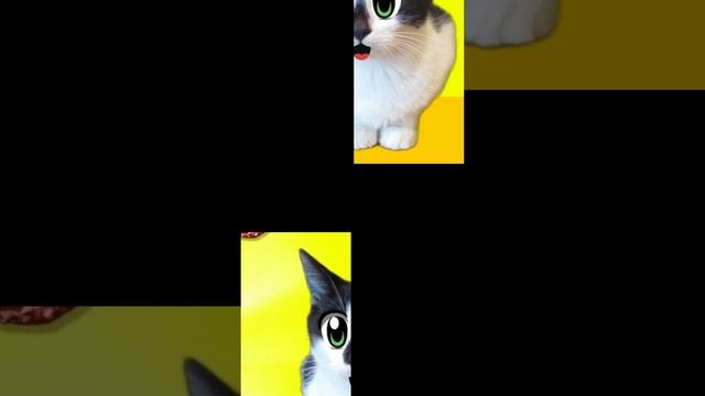 9ad43c0705f0f5ed8a1f41a3a303939e