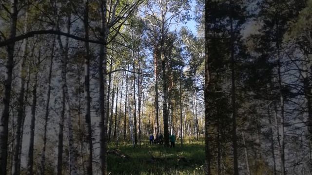 Делянка
