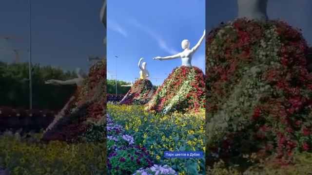 Video-fe800dc9279a7cc0fc66c2d273ed79c0-V.mp4