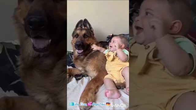 Video-cc72560f28dd6828d541518e6b1ea49e-V.mp4