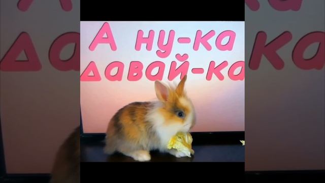 59275e981f9692903c2307bfaa12cd0f