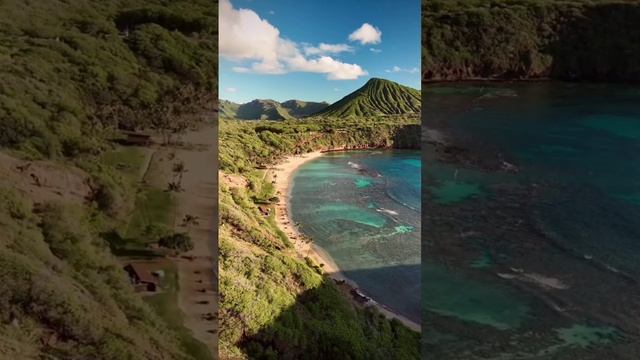 Video-2c7bc13f0bba2f14517d2693b21ac6cb-V.mp4