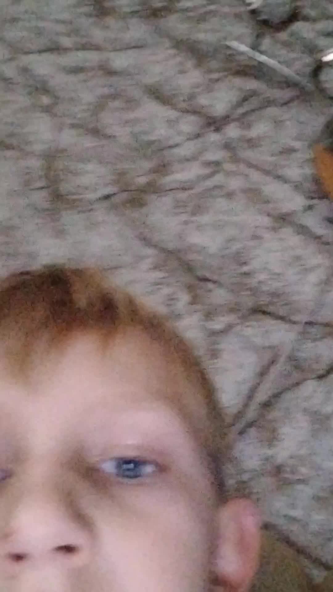 5683ee12d0fc6fef4f5150a69a09e0da