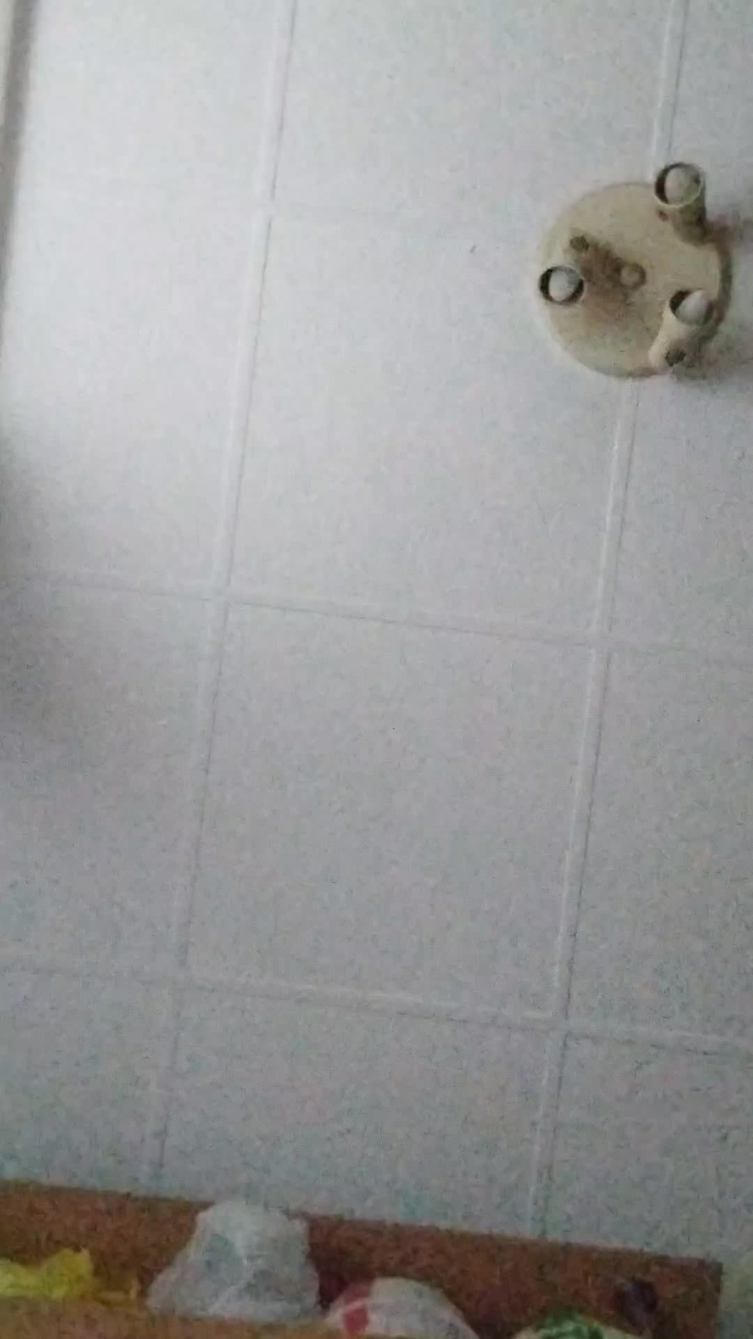 B2c4591166e7b24c4e7a75aa1574c7c2