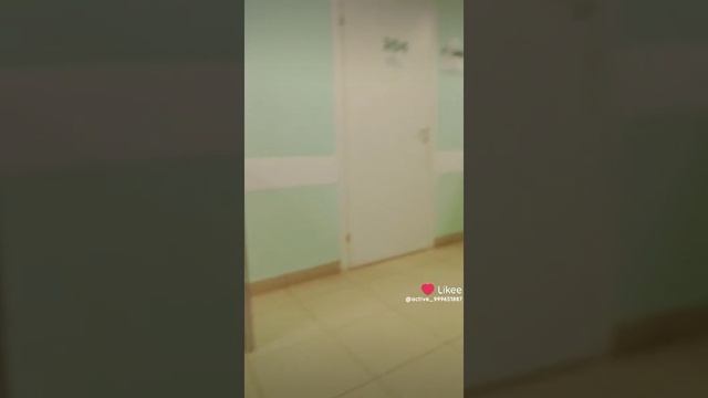 название съел кот