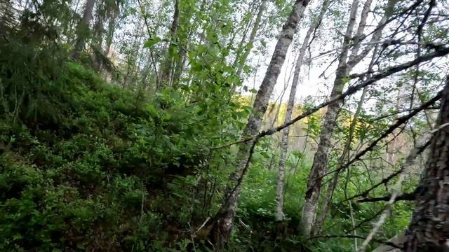 Cd973053cdfade2760679048fef9d4f1