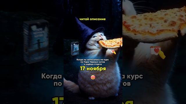 Таро Черных котов