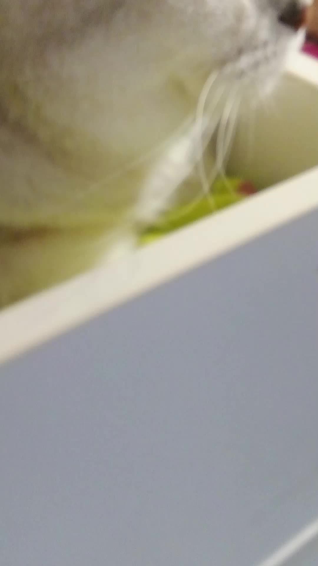 57e8e33af88784e317e4a9b4a863fb10