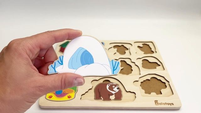 4855444e7534fc4d8f82794e42c7c938