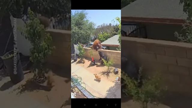 6468ab0efaa27ee2a3a5efae7d82c6fe