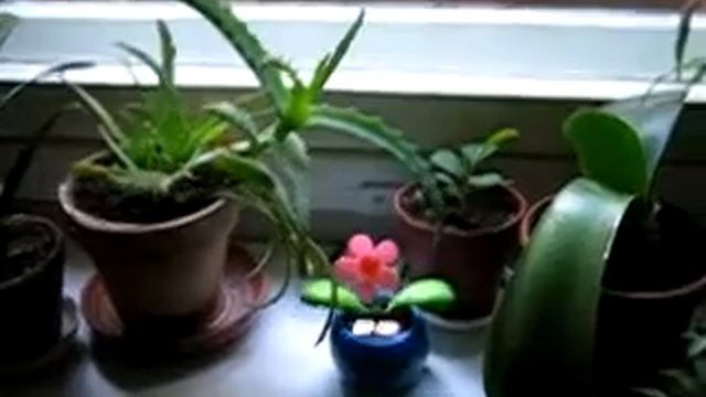 Ff3e604715b8cc9a969a7404fec5c981