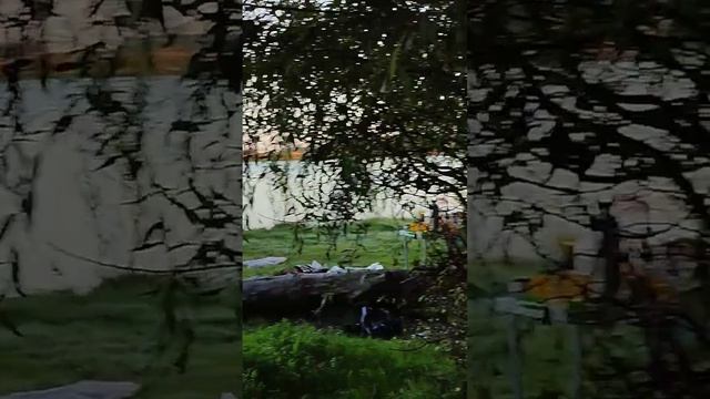 Иртыш. Омская область. Нижнеомский район .