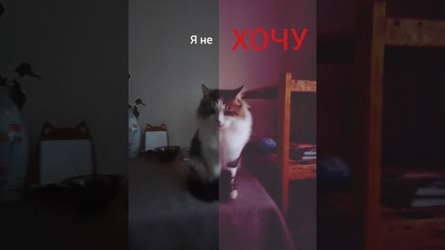 75a6919e2adb7a3abdce4414046f191b