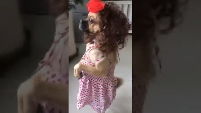 Memes Compilation #15