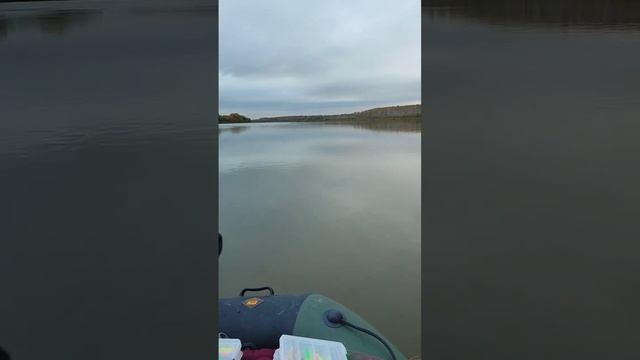 Большеречье. Омская область. Ривьера 3200ск + Sea Pro 9.8 #рыбалка