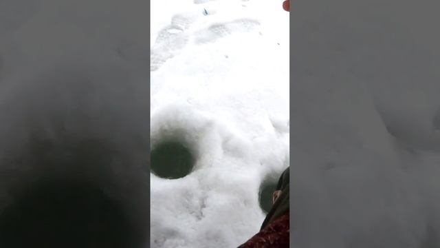 Лещ рвет леску