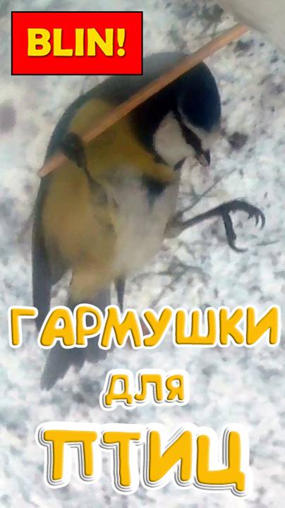 Ae4e9f61ef256ea43615e65d02a7b118