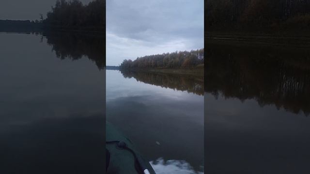 Sea Pro 9.8 лс + Ривьера 3200ск .Омск Тевриз