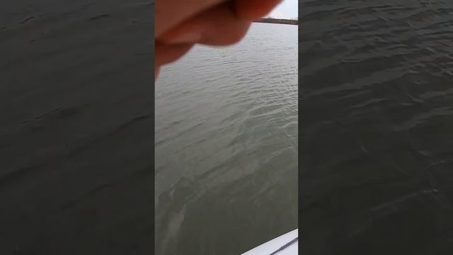 Щука на джиг.  Рыбалка