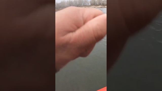 Щука на джиг . Забыли подсак