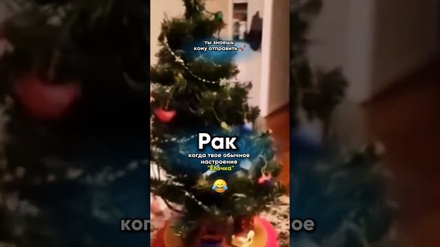 Рак и его настроение