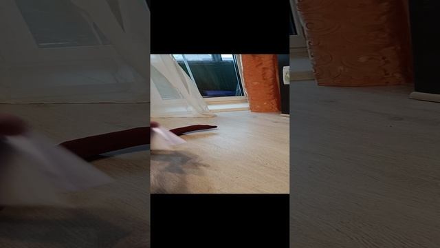 Как сделать книжку-малышку