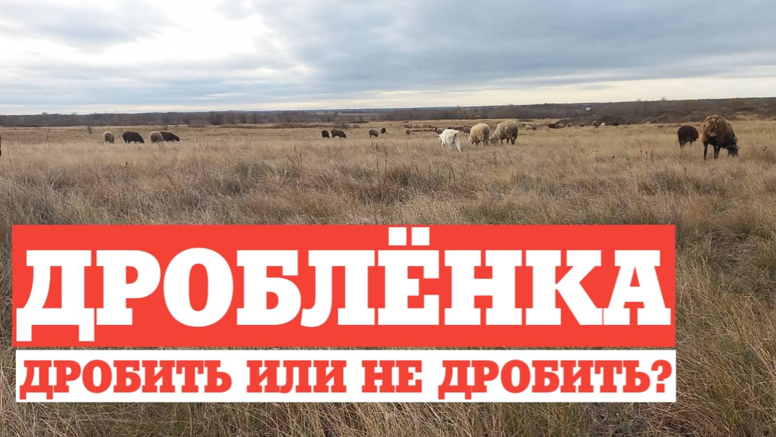 Что делать если нет дробилки? ДРОБИТЬ ИЛИ НЕ ДРОБИТЬ?