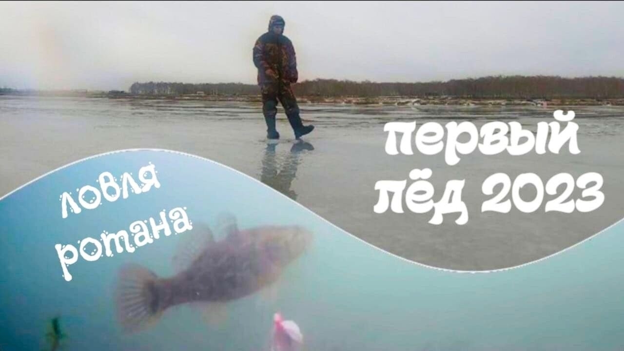 Рыбалка на ротана. Первый лёд 2023-2024г. ТОЛСТЫЕ РОТАНЫ и подводные съёмки !