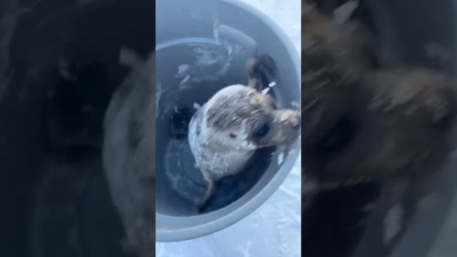 9ab59c55e2ae443614a70266b3d83d08