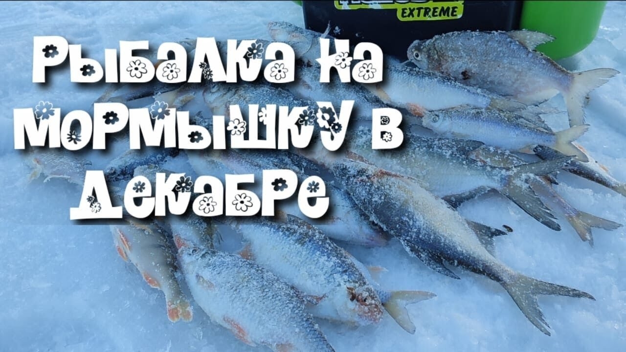 Рыбалка на мормышку в декабре. Омская область. КТО ТО ОТОРВАЛ МОРМЫШКУ.