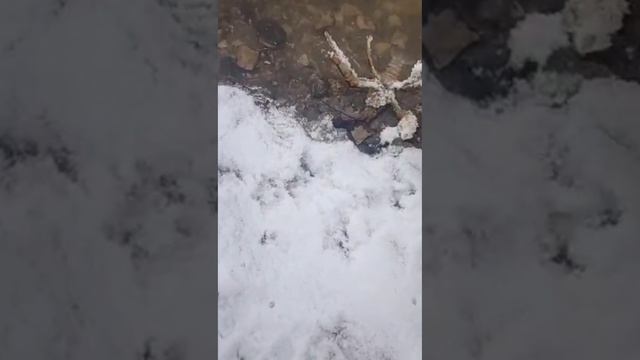 638df316ee6a65947bc20007322ce26e