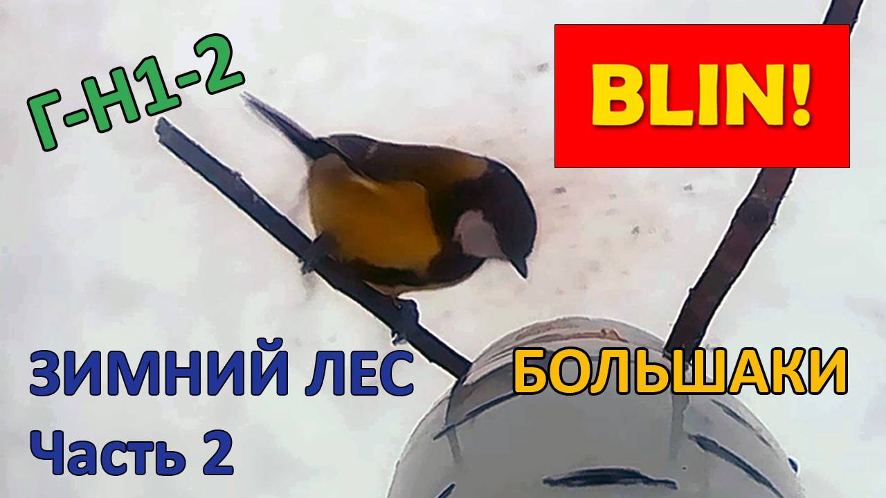 435b4b90d85f722a4a7bb072959ed009