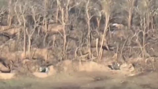 19 мсд Армии России. Стрелковый бой, захват и зачистка позиций противника